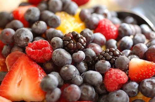 fruit.jpg