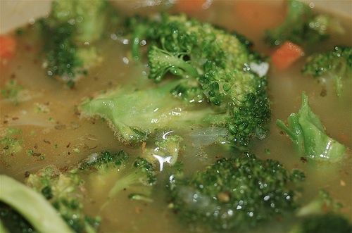 soup-close1.jpg