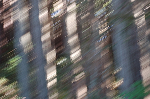 2360304262_3568790fc9.jpg