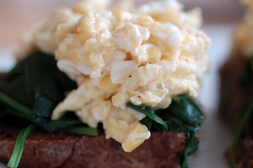 eggs-close.jpg