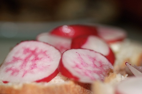 radishes.jpg