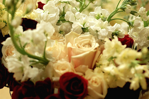 more-flowers.jpg
