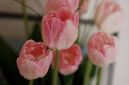 pink.jpg