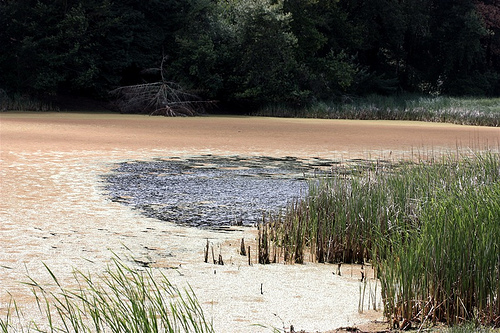 lake.jpg