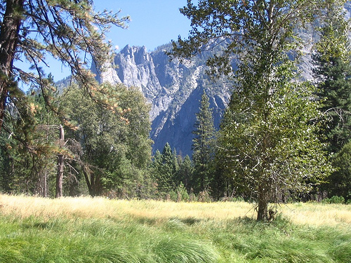 yosemite.jpg