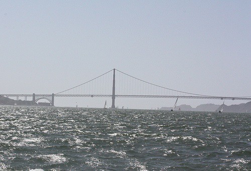 bay bay