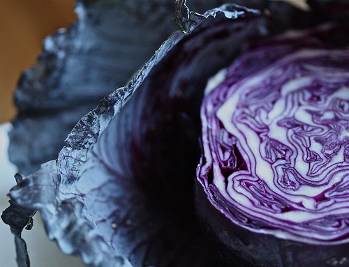 cabbage cabbage