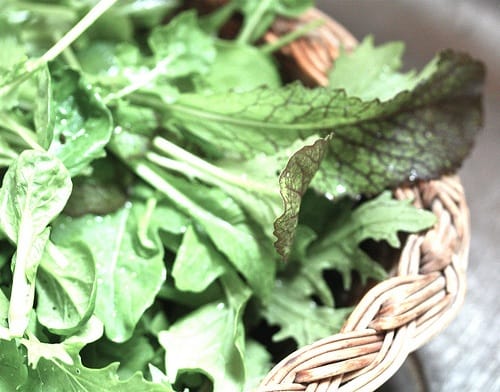 salad