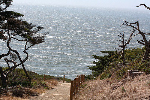 path path