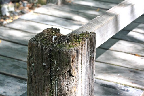 bridge