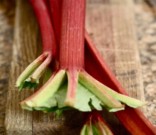 A New (Favorite) Thing: Rhubarb